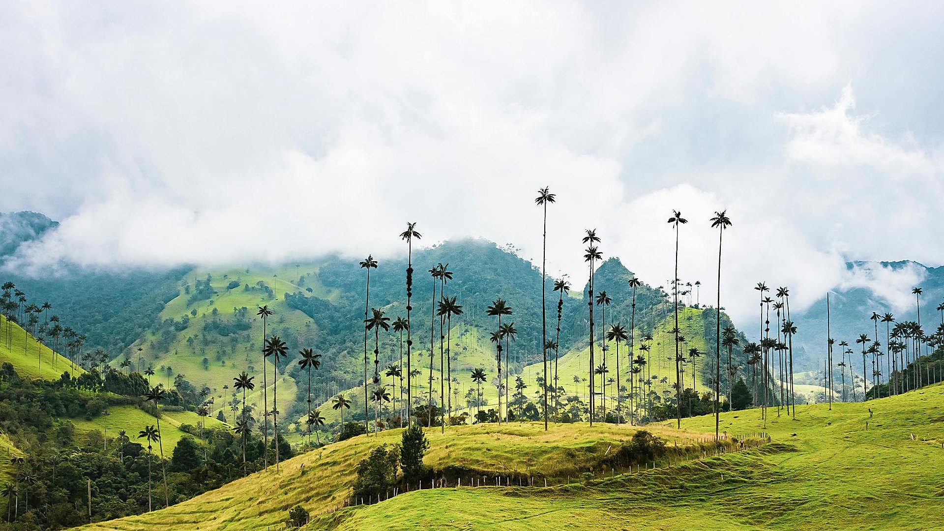 Best Time to Visit Colombia: Weather, Seasons & Festivals (2026)