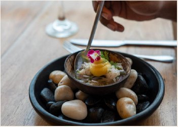 Taller de Ceviche en Cartagena 2